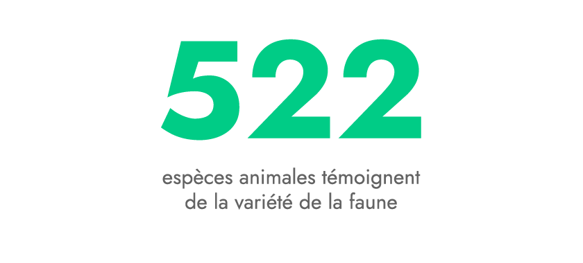 especes-animales
